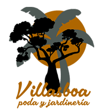Podas